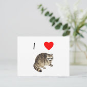 アライグマが好き ポストカード (スタンド正面)