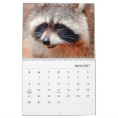 アライグマのウォールカレンダー カレンダー (3月 2027)