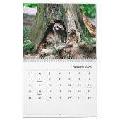 アライグマのウォールカレンダー カレンダー (2月 2026)