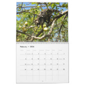 アライグマのカレンダー カレンダー (2月 2026)