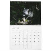 アライグマのカレンダー カレンダー (3月 2027)