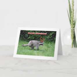 アライグマのクリスマス シーズンカード