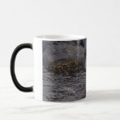 アライグマのコーヒー モーフィングマグカップ (左)