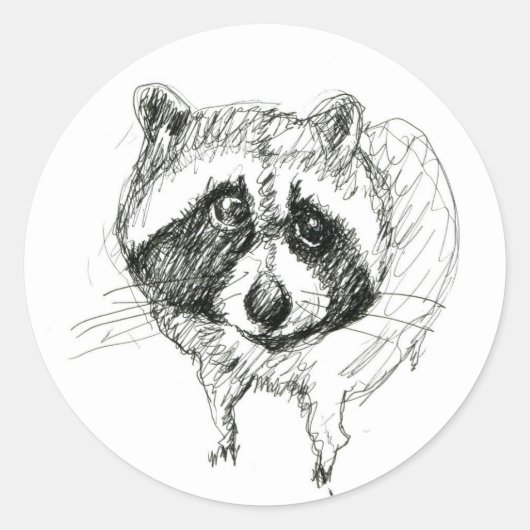 アライグマのシール ラウンドシール (正面)