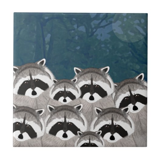 アライグマのタイル タイル (正面)