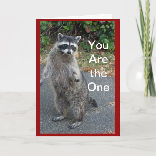 アライグマのバレンタインカード シーズンカード (正面)