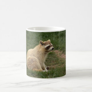 アライグマのマグ コーヒーマグカップ