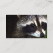 アライグマのマスクの名刺 名刺 (裏面)