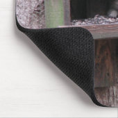 アライグマの与太者のマウスパッド マウスパッド (コーナー)