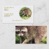 アライグマの名刺 名刺 (正面/裏面)