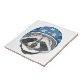 アライグマの向こう見ず タイル (側面)