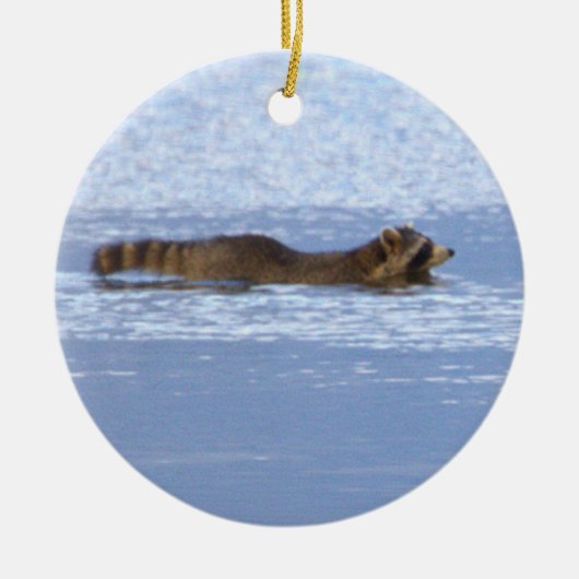 アライグマの水泳写真オーナメント セラミックオーナメント (正面)