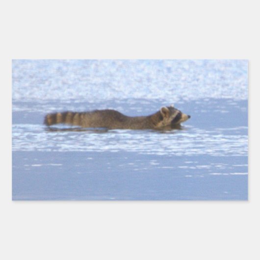 アライグマの海泳ステッカー 長方形シール (正面)