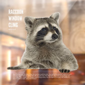 アライグマの窓にしがみつく ウィンドウサイン