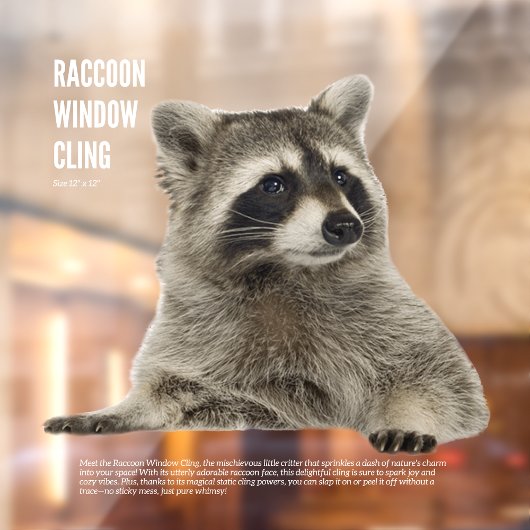 アライグマの窓にしがみつく ウィンドウサイン