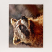 アライグマの肖像画 ジグソーパズル (縦)