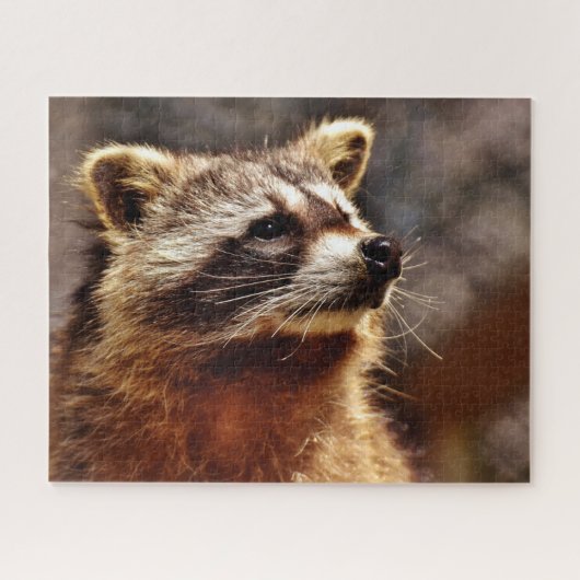 アライグマの肖像画 ジグソーパズル (横)