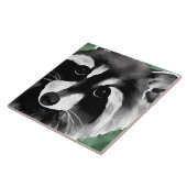 アライグマの芸術 タイル (側面)