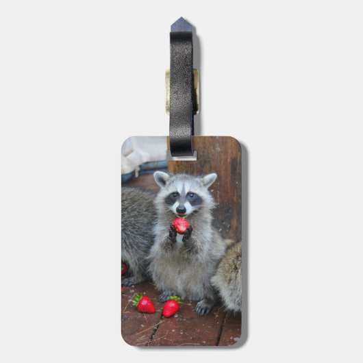 アライグマの荷物のラベル ラゲッジタグ (裏面縦)