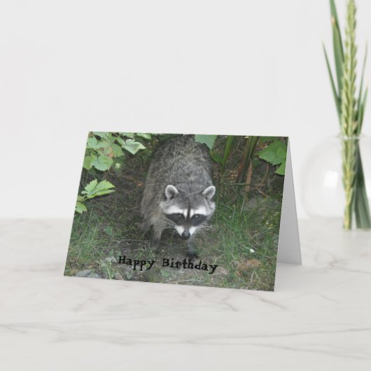 アライグマの誕生日おめでとう カード (正面)