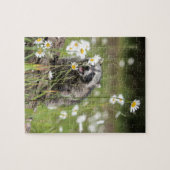 アライグマの驚き ジグソーパズル (横)