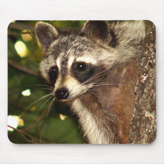 アライグマの"強盗"のマウスパッド マウスパッド (正面)