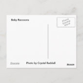 アライグマはがき ポストカード (裏面)