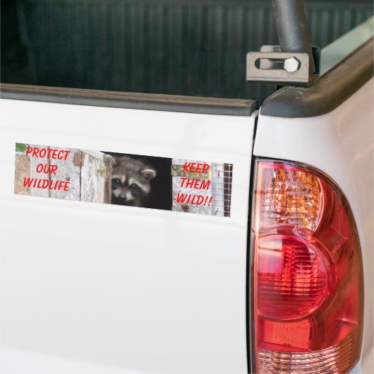 アライグマはそれらを野生保ちます!! Bumoerのステッカー バンパーステッカー (トラック上)