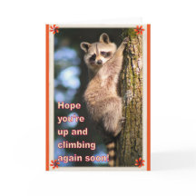 アライグマは良いカードを得る。