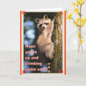 アライグマは良いカードを得る。 カード (黄色い花)