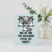 アライグマを一つ一つ ポストカード (スタンド正面)