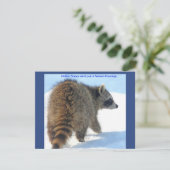 アライグマインザホリデースノー シーズンカード (スタンド正面)