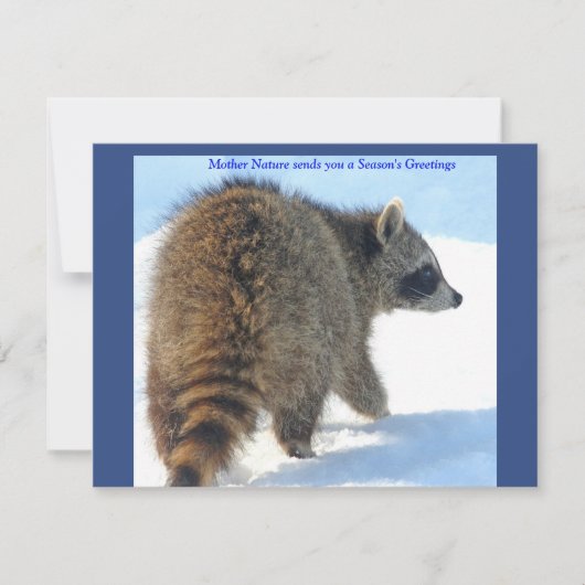 アライグマインザホリデースノー シーズンカード (正面)