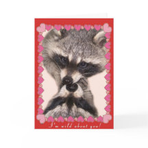 アライグマキスをする