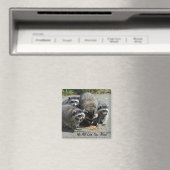 アライグマ家族ママ磁石 マグネット (インサイチュ (食洗機))