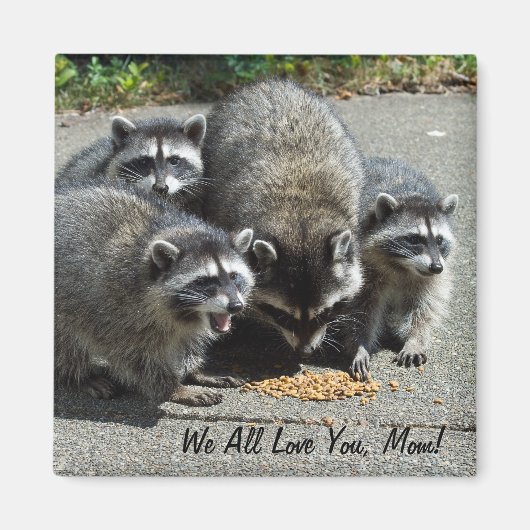 アライグマ家族ママ磁石 マグネット (正面)