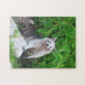 アライグマ愛好家のための野生動物ジグソーパズル ジグソーパズル (横)