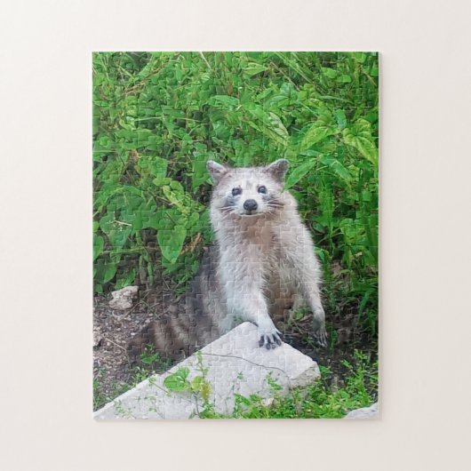 アライグマ愛好家のための野生動物ジグソーパズル ジグソーパズル (縦)