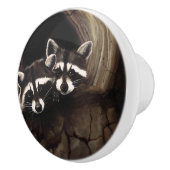 アライグマ茶色のかわいい木 セラミックノブ (右)