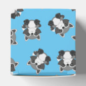 アライグマ赤ちゃんシャワーブルー フェイバーボックス (上部)