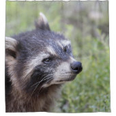 アライグマ519-1 シャワーカーテン (正面)