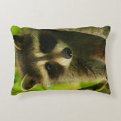 アライグマ アクセントクッション (正面)