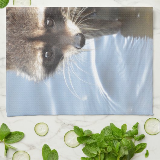 アライグマ キッチンタオル (折り畳み)