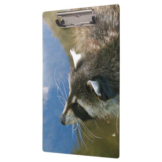 アライグマ クリップボード (左)