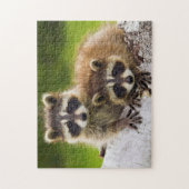 アライグマ ジグソーパズル (縦)