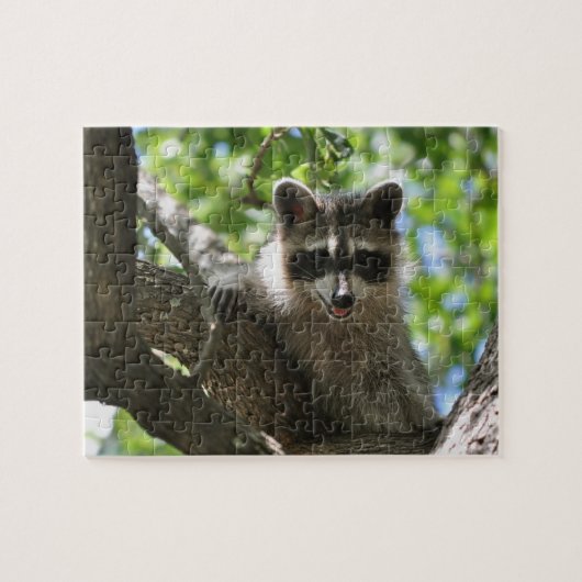 アライグマ-ジグソーパズル ジグソーパズル (横)