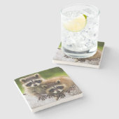 アライグマ ストーンコースター (横)