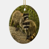 アライグマ! セラミックオーナメント (右)