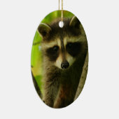 アライグマ セラミックオーナメント (右)