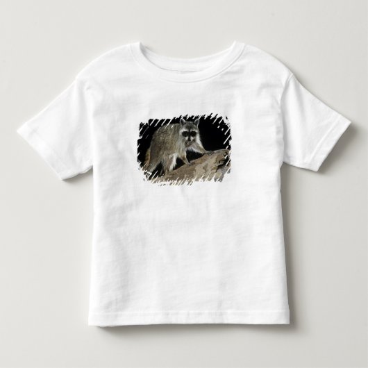アライグマ トドラーTシャツ (正面)
